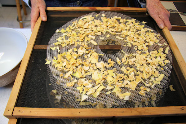 Step 13 - Our First Tray
