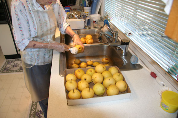 Step 1 - Wash Pears 