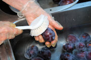 Canning Dried Prunes Step 2