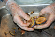 Canning Dried Prunes Step 5