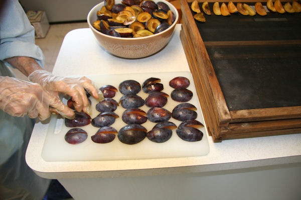 Step 6 - Quarter Prunes 