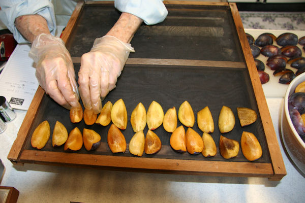 Step 9 - Load Tray