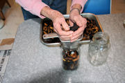 Canning Dried Prunes, Step 14