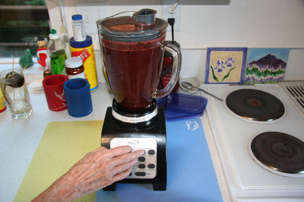 Step 1 - Cherries in Blender