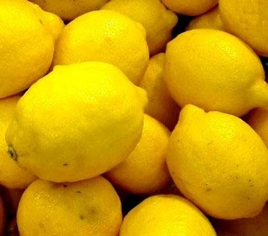 Fresh Lemons 