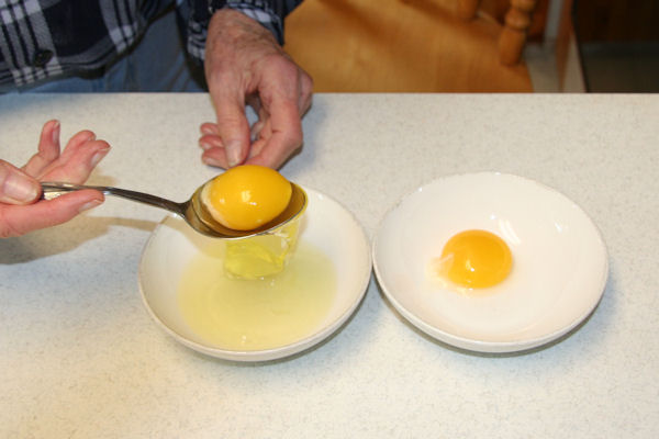Step 10 - Separate Yolks