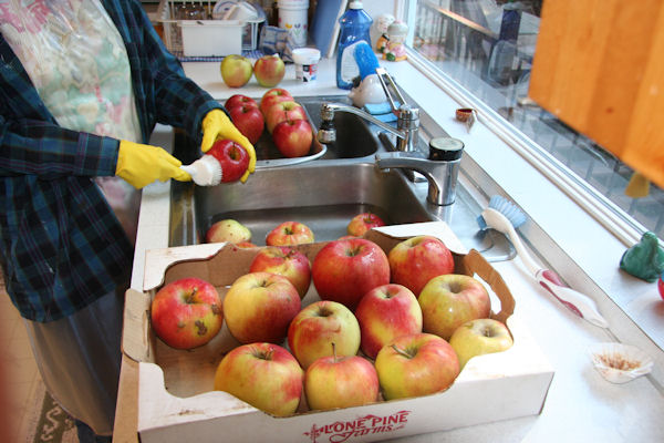 Step 1 - Wash Apples 