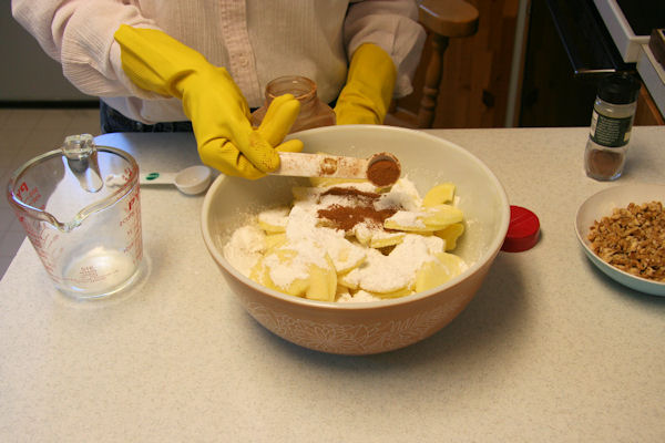 Step 8 - Add Spices to Apples 