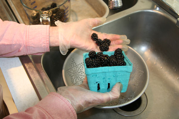 Step 1 - Wash and Sort Blackberries 
