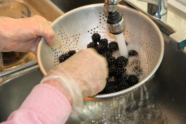 Step 3 - Wash Blackberries
