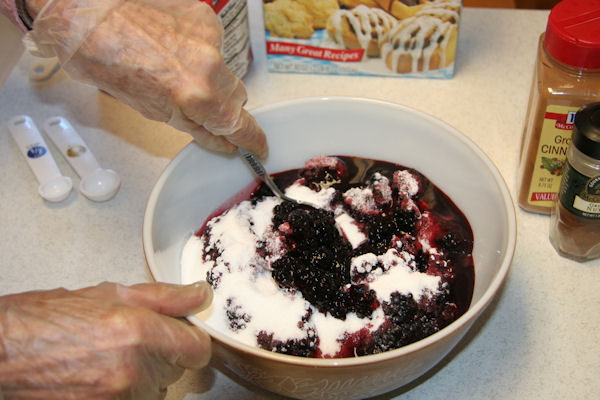 Step 11 - Mix the Blackberries and the Sugar Mix 