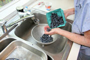 Blueberry Cobbler Step 1