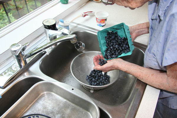 Step 1 - Sort Blueberries 