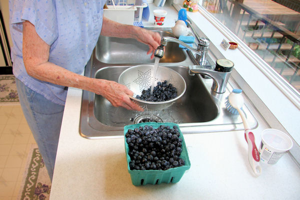 Step 2 - Wash Blueberries 