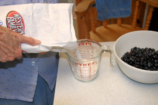 Step 4 - Measure Sugar for Blueberries