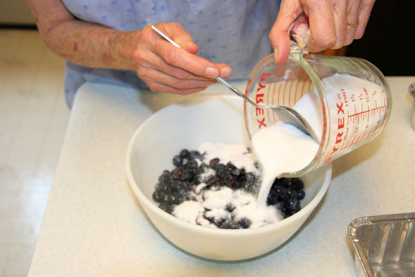 Step 7 - Put Sugar/Starch into Blueberries 