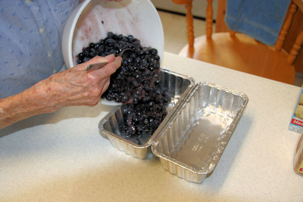 Step 9 - Fill Pans with Blueberries