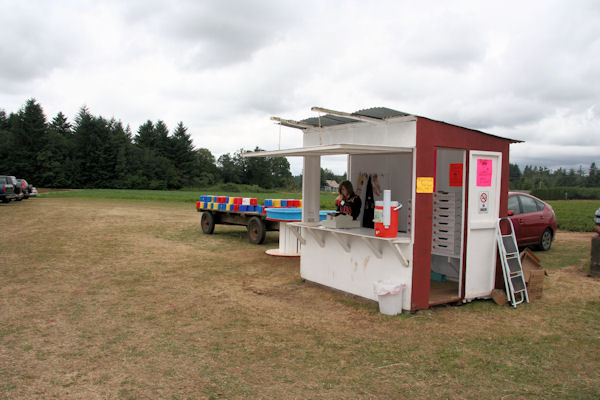 Step 1 - Bush's Strawberry Stand 