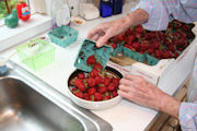 Freezing Strawberries, Step 9