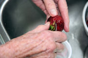 Freezing Strawberries, Step 12