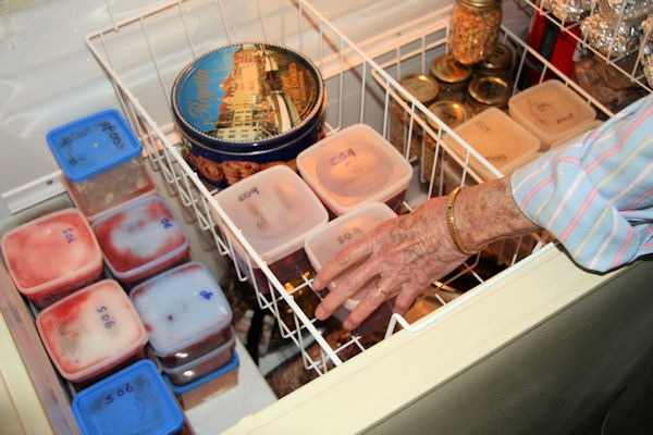 Step 19 - Put Containers into the Freezer 