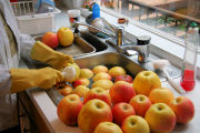 Apple Butter Canning step 3