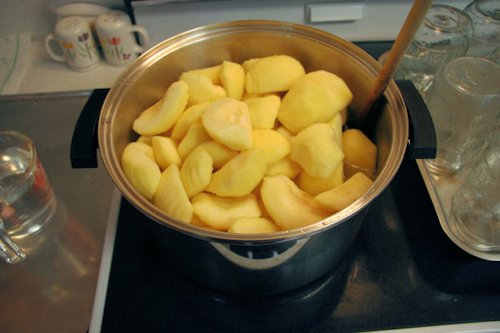 Step Eight, Boil Apples