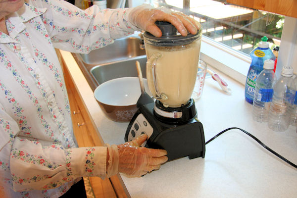 Step 8 - Liquefy Pears 