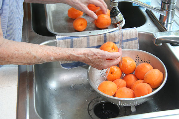 Step 2 - Wash the Apricots
