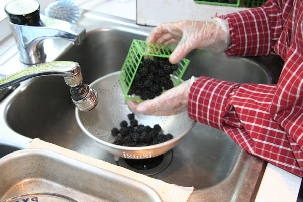 Step 2 - Sort the Blackberries