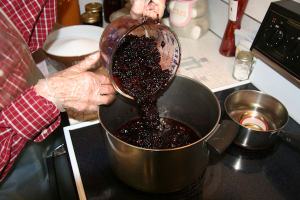 Step 6 -Crushed Blackberries into the Pot  