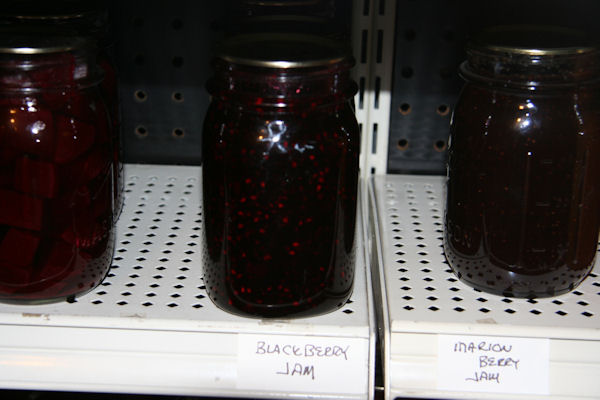 Step 22 - Store the Jars 