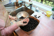 Bing Cherry Jam Step 1