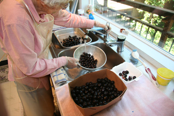 Step 2 - Wash the Cherries