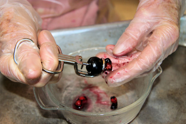 Step 5 - Pit the Cherries 