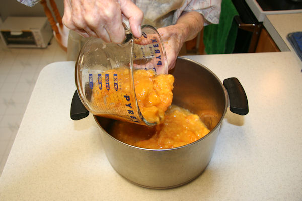 Step 9 - Put Mashed Peaches in Large Pot