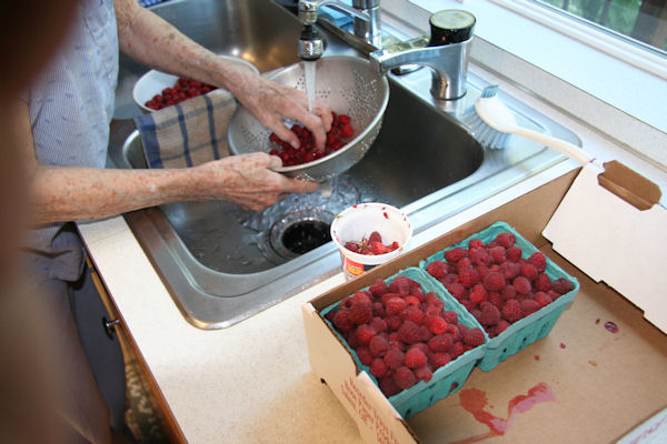 Step 3 - Wash the Raspberries 