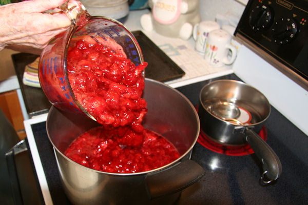 Step 8 - Pour Strawberries