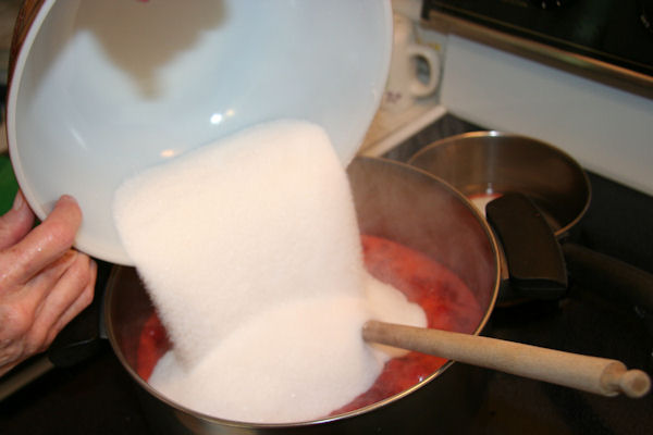 Step 14 - Add Sugar