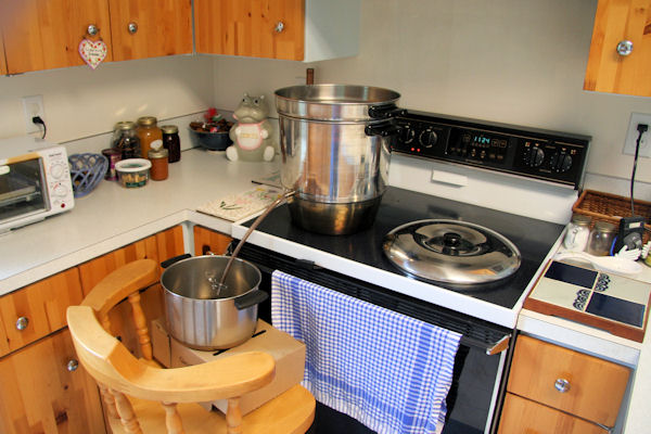 Step 3 - Set Up Juicer