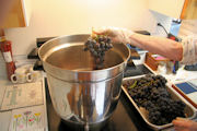 Grape Jelly Step 4