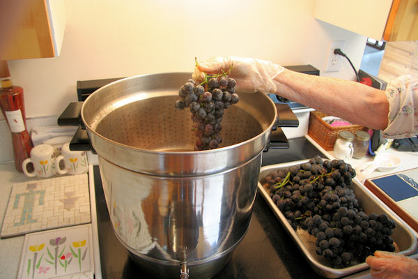 Step 4 - Load the Juicer