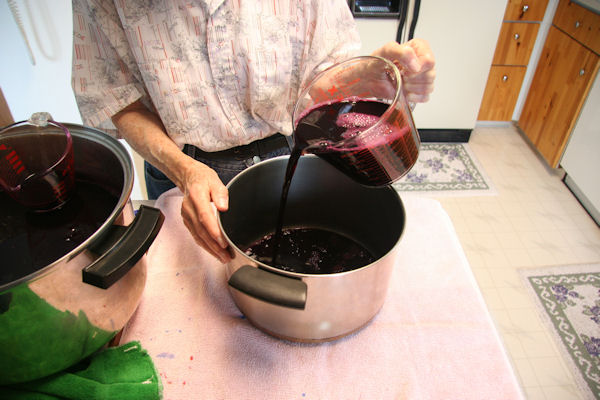 Step 7 - Juice into the Pot