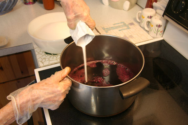 Step 10 - Add the Pectin