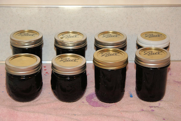 Step 23 - Set the Jars to Cool 