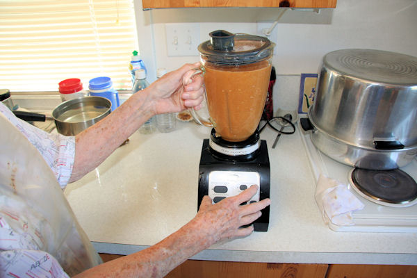 Step 9 - Liquefy the Peaches