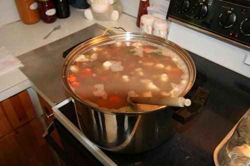 Step 15 - Vegetables into the Pot 