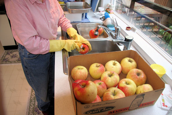 Step 1 - Wash Apples 