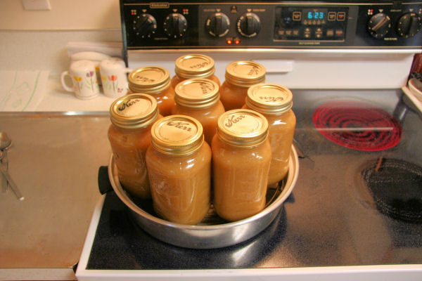 Step 20, Process Applesauce