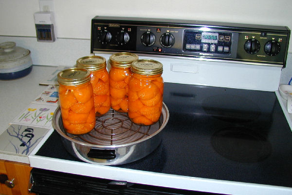 Step Nine, Place Jars in Canner